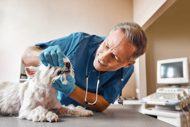 Best Emergency Care for Gum Disease in South Taft, CA